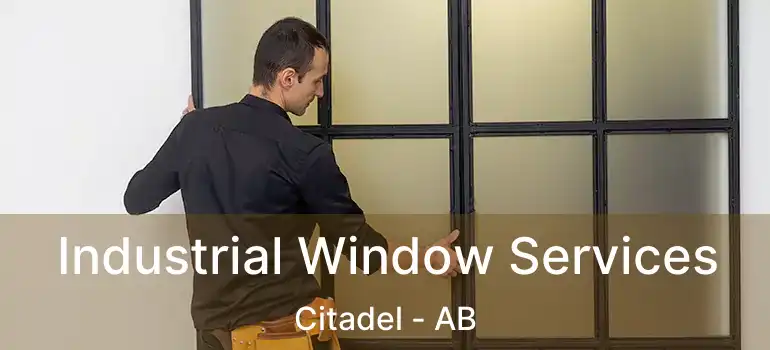  Industrial Window Services Citadel - AB