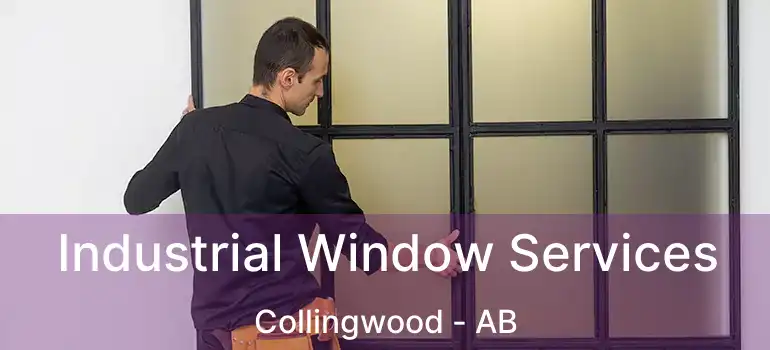  Industrial Window Services Collingwood - AB
