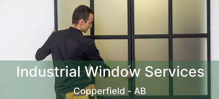  Industrial Window Services Copperfield - AB