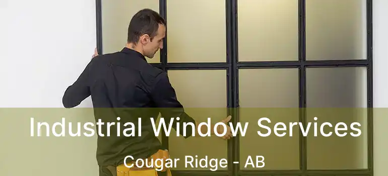  Industrial Window Services Cougar Ridge - AB