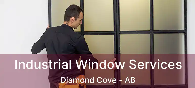  Industrial Window Services Diamond Cove - AB