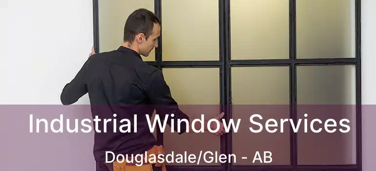  Industrial Window Services Douglasdale/Glen - AB