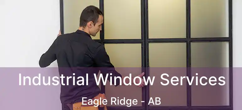  Industrial Window Services Eagle Ridge - AB