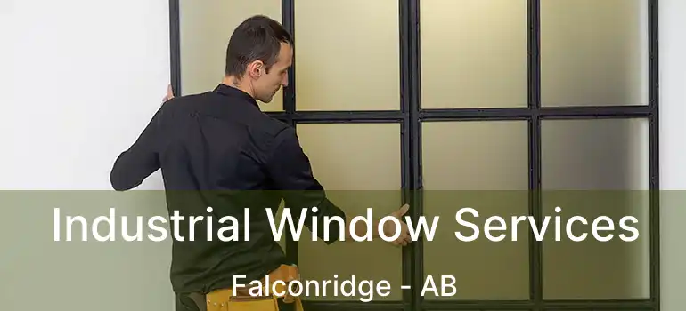  Industrial Window Services Falconridge - AB