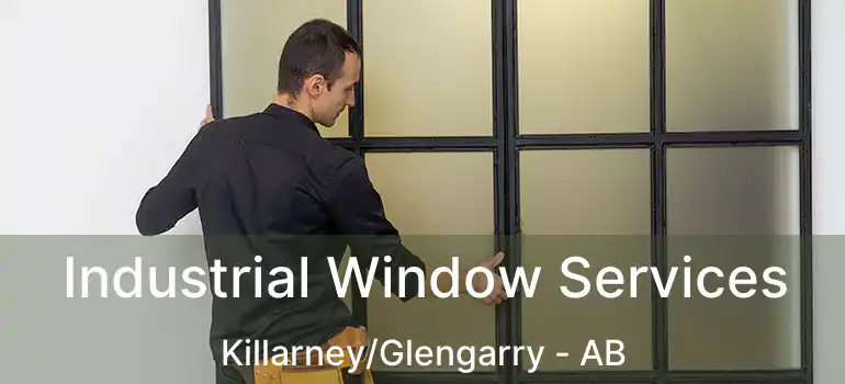  Industrial Window Services Killarney/Glengarry - AB