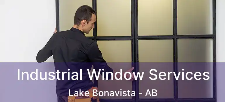  Industrial Window Services Lake Bonavista - AB