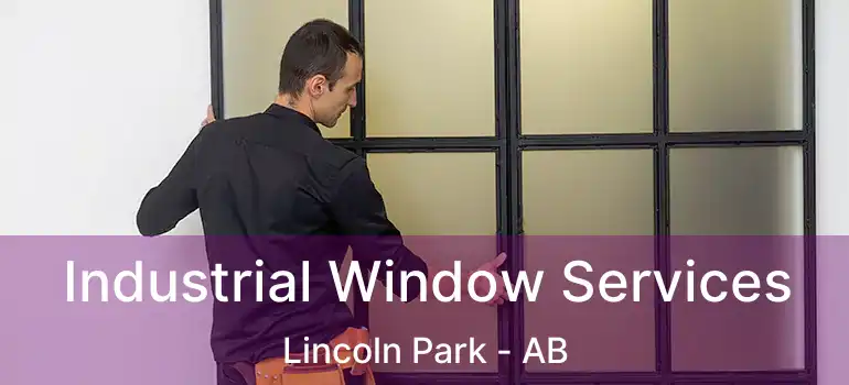  Industrial Window Services Lincoln Park - AB