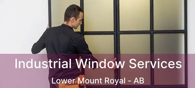  Industrial Window Services Lower Mount Royal - AB