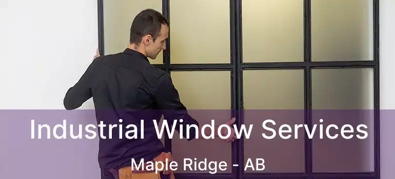  Industrial Window Services Maple Ridge - AB