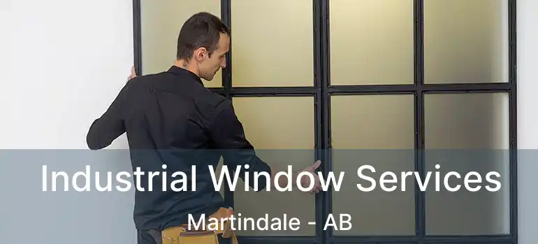  Industrial Window Services Martindale - AB