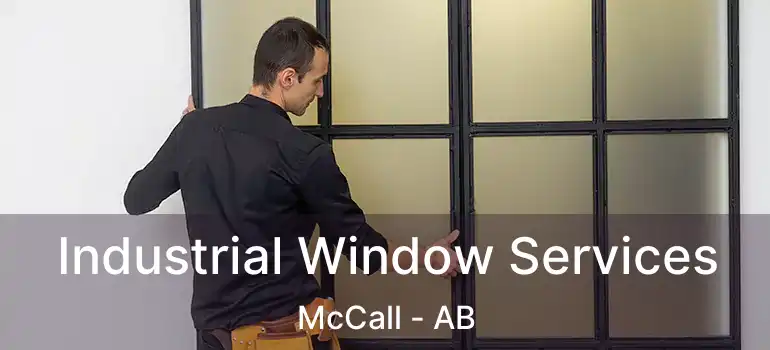  Industrial Window Services McCall - AB