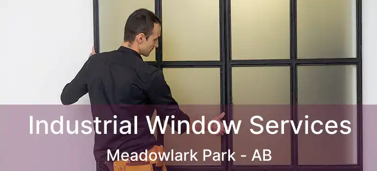  Industrial Window Services Meadowlark Park - AB