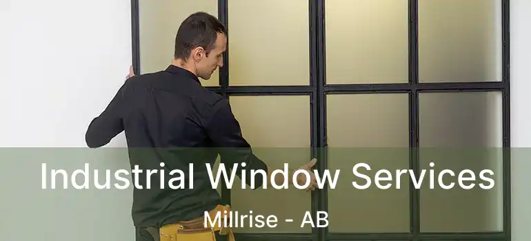  Industrial Window Services Millrise - AB