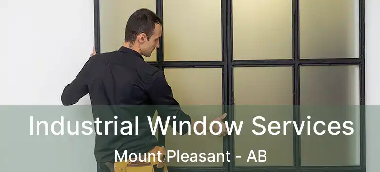  Industrial Window Services Mount Pleasant - AB