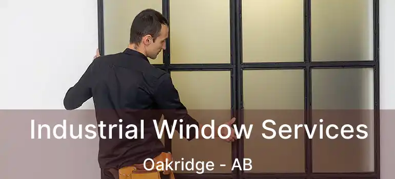  Industrial Window Services Oakridge - AB