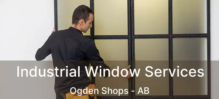  Industrial Window Services Ogden Shops - AB