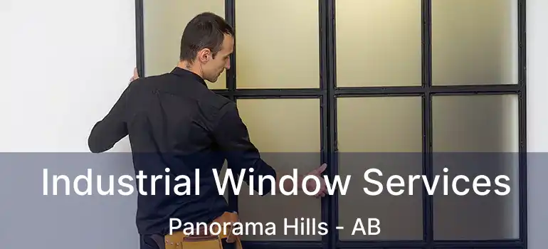  Industrial Window Services Panorama Hills - AB