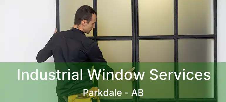  Industrial Window Services Parkdale - AB