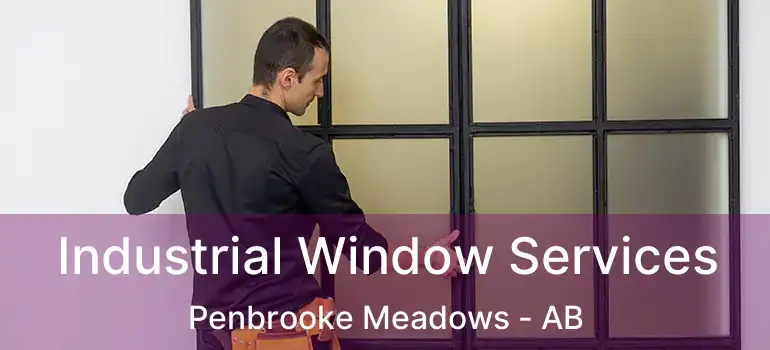  Industrial Window Services Penbrooke Meadows - AB