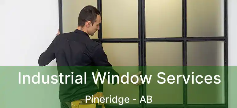  Industrial Window Services Pineridge - AB