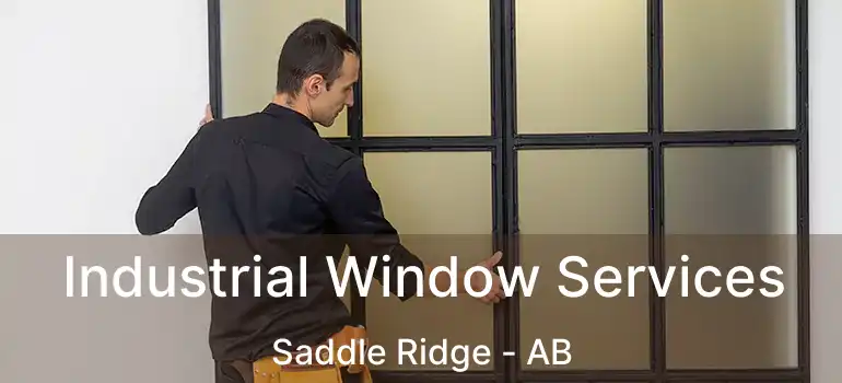  Industrial Window Services Saddle Ridge - AB