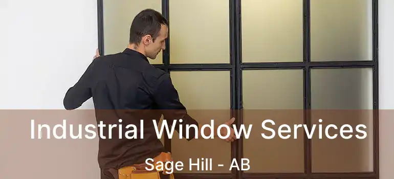  Industrial Window Services Sage Hill - AB