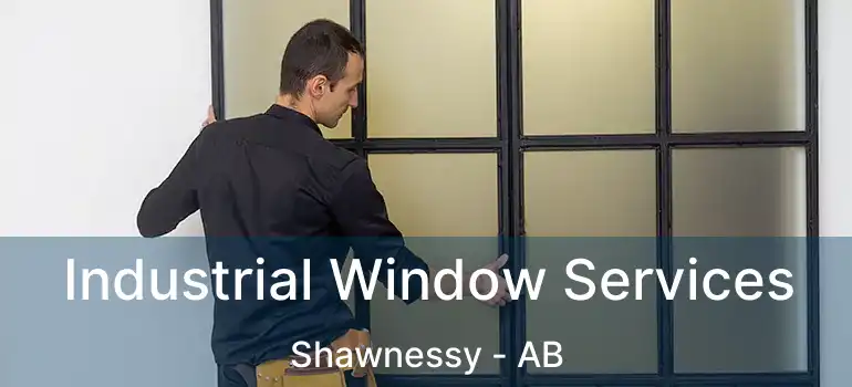  Industrial Window Services Shawnessy - AB
