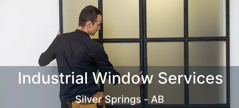  Industrial Window Services Silver Springs - AB