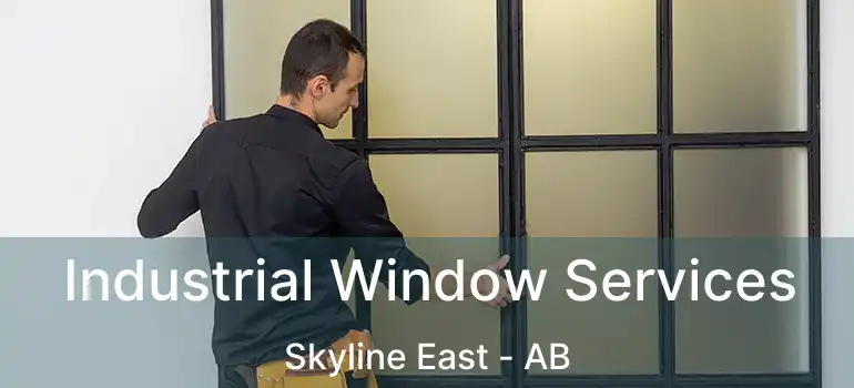  Industrial Window Services Skyline East - AB