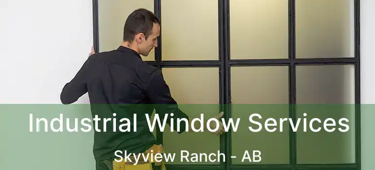  Industrial Window Services Skyview Ranch - AB