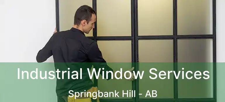  Industrial Window Services Springbank Hill - AB