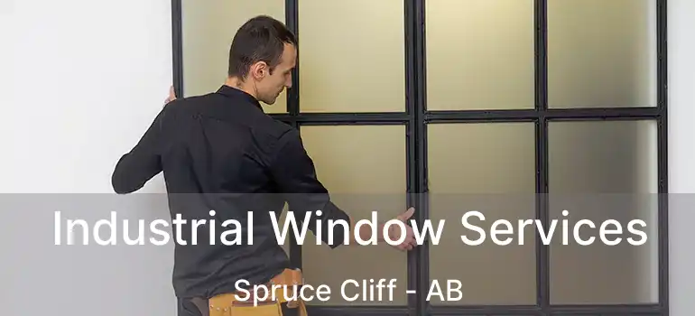  Industrial Window Services Spruce Cliff - AB
