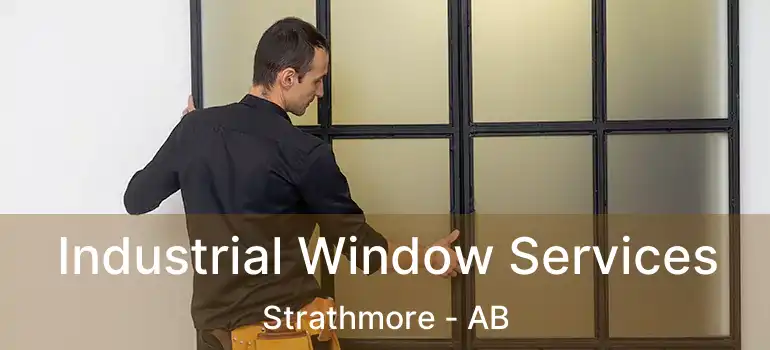  Industrial Window Services Strathmore - AB
