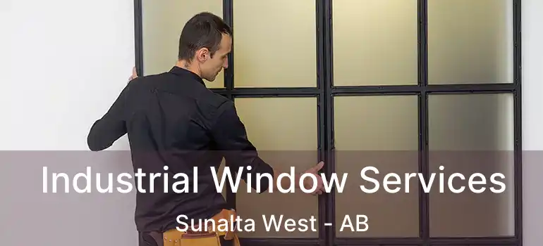 Industrial Window Services Sunalta West - AB