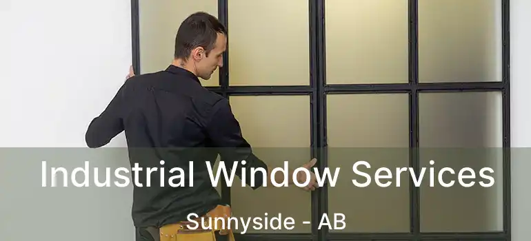  Industrial Window Services Sunnyside - AB