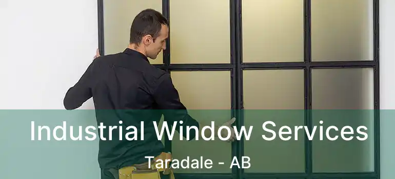  Industrial Window Services Taradale - AB