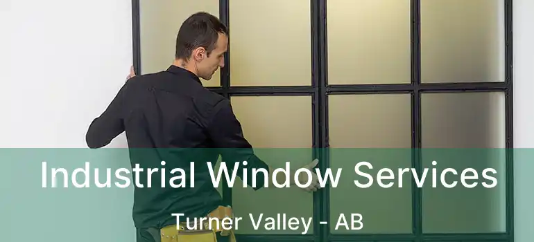  Industrial Window Services Turner Valley - AB