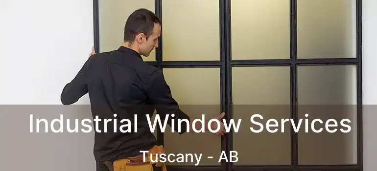  Industrial Window Services Tuscany - AB