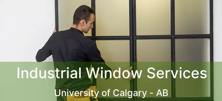  Industrial Window Services University of Calgary - AB