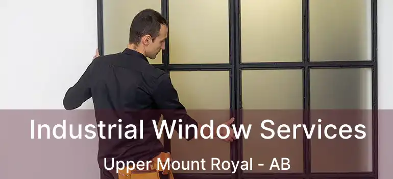  Industrial Window Services Upper Mount Royal - AB