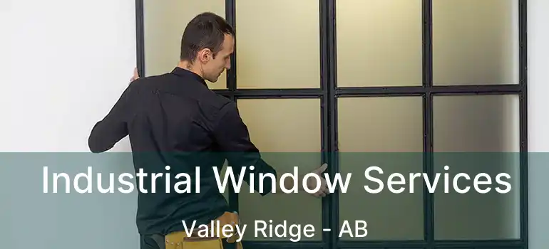  Industrial Window Services Valley Ridge - AB