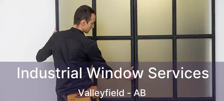  Industrial Window Services Valleyfield - AB