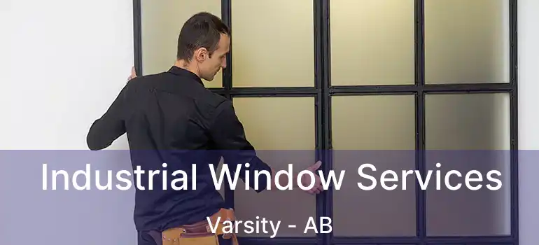  Industrial Window Services Varsity - AB
