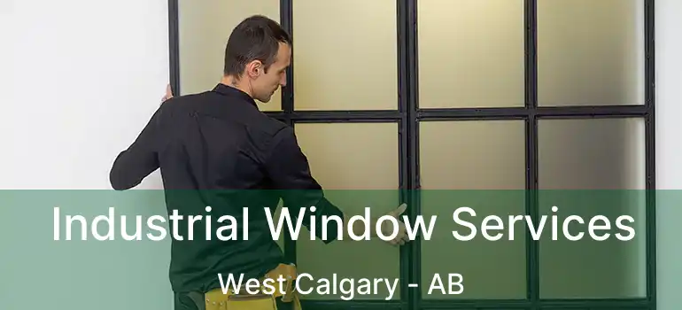  Industrial Window Services West Calgary - AB