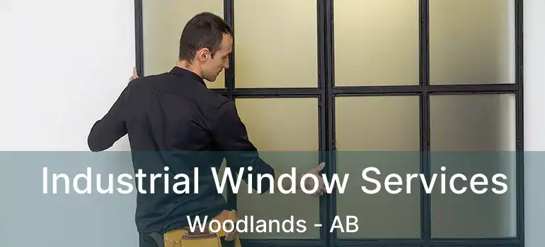  Industrial Window Services Woodlands - AB