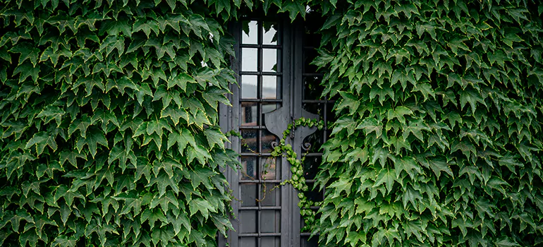 Garden Gate Repair in Calgary, AB