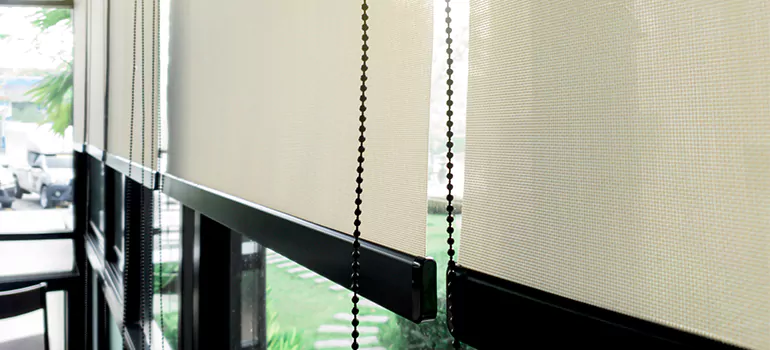 Blackout Window Shades in Shaganappi, Alberta