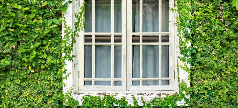 Garden Window Repair Near Me in Calgary, AB