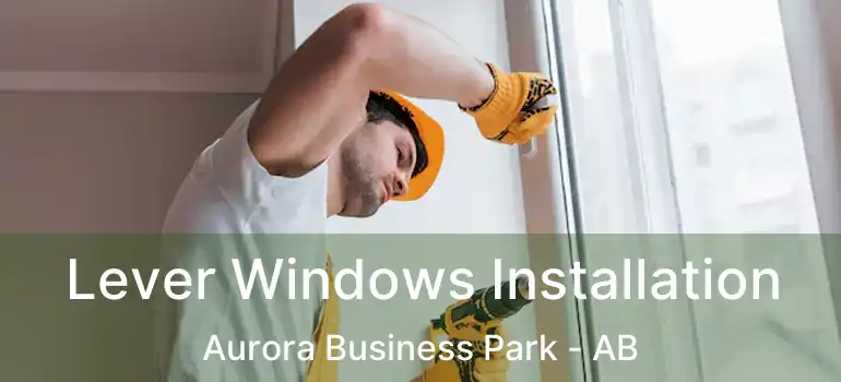  Lever Windows Installation Aurora Business Park - AB