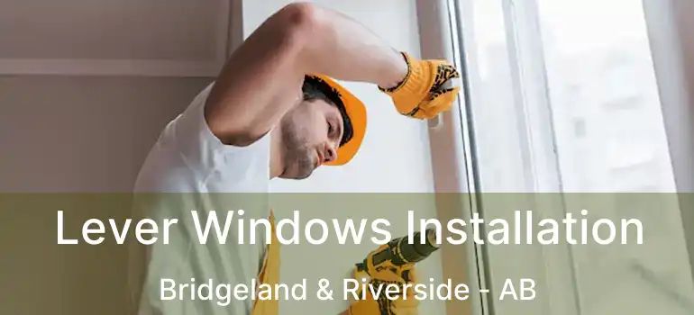  Lever Windows Installation Bridgeland & Riverside - AB